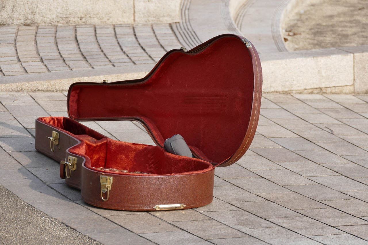 guitar case instrument free photo