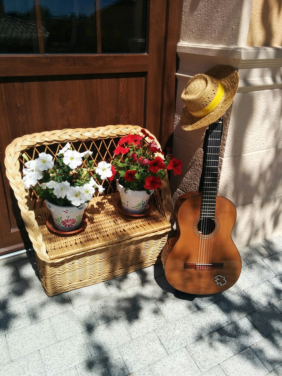 guitar flowers pots free photo