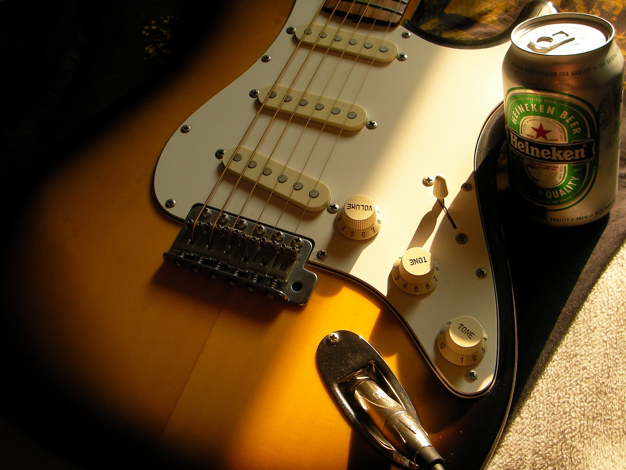 guitar stratocaster beer free photo