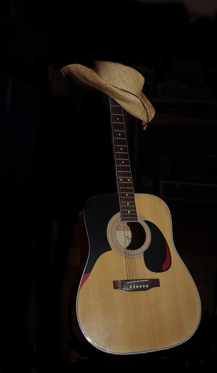 guitar hat westernhat free photo
