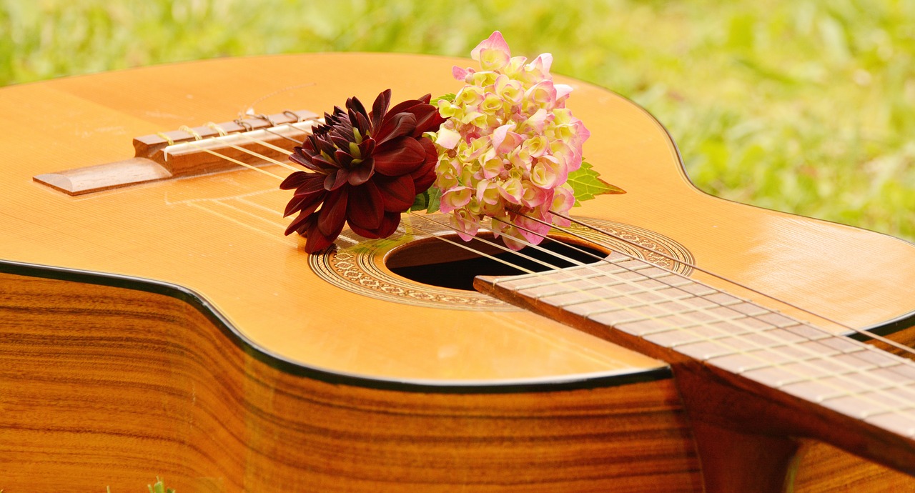 guitar musical instrument music free photo