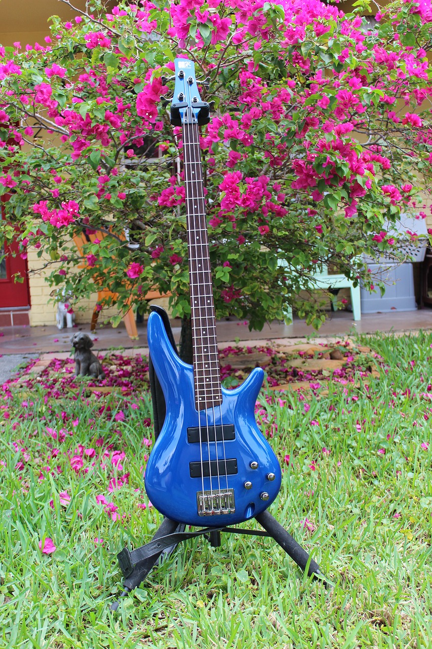 guitar blue guitar electric guitar free photo