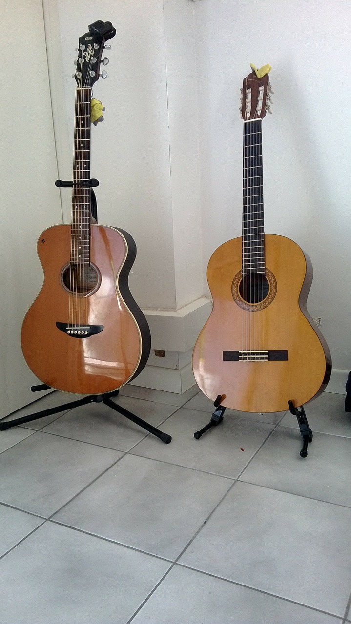 guitar guitars twins free photo