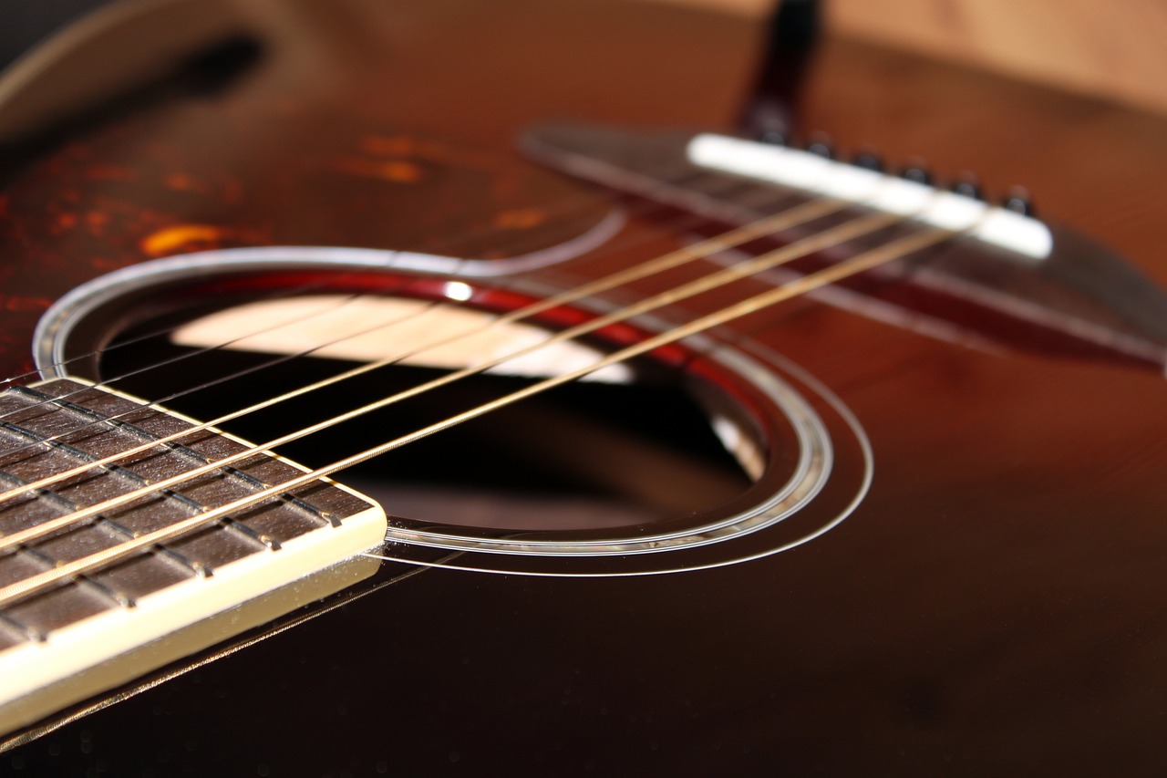 guitar macro stringed instrument free photo