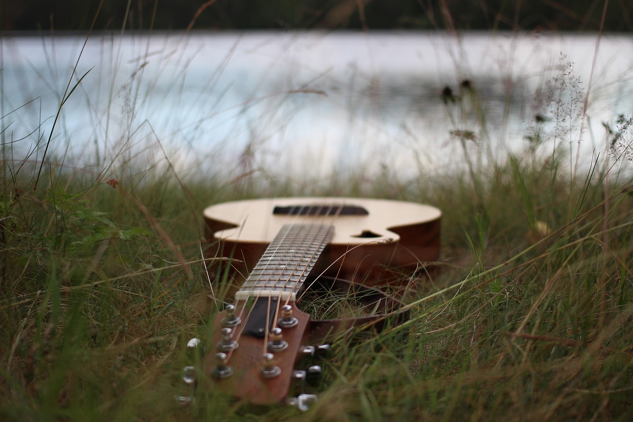 guitar tacoma wp strings free photo