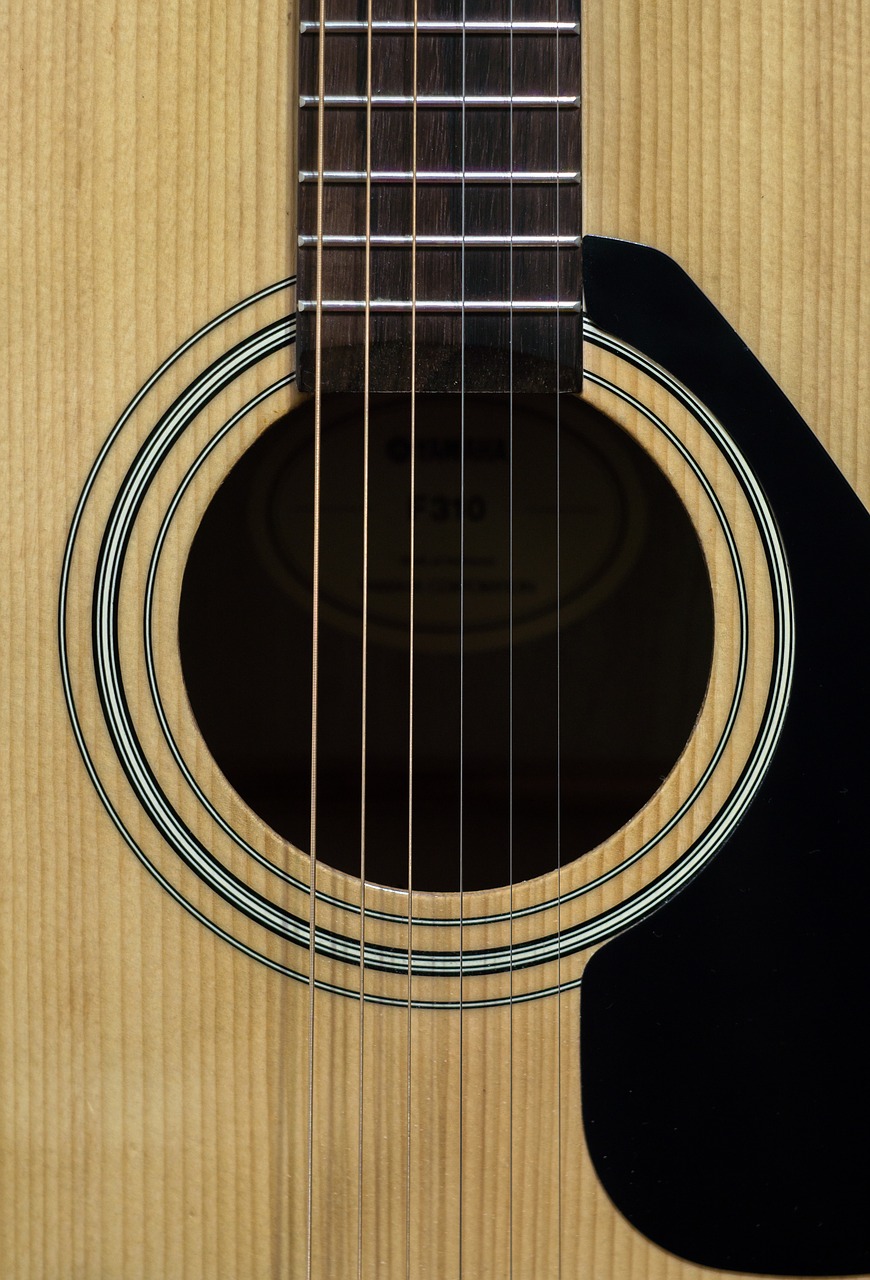 guitar deca strings free photo