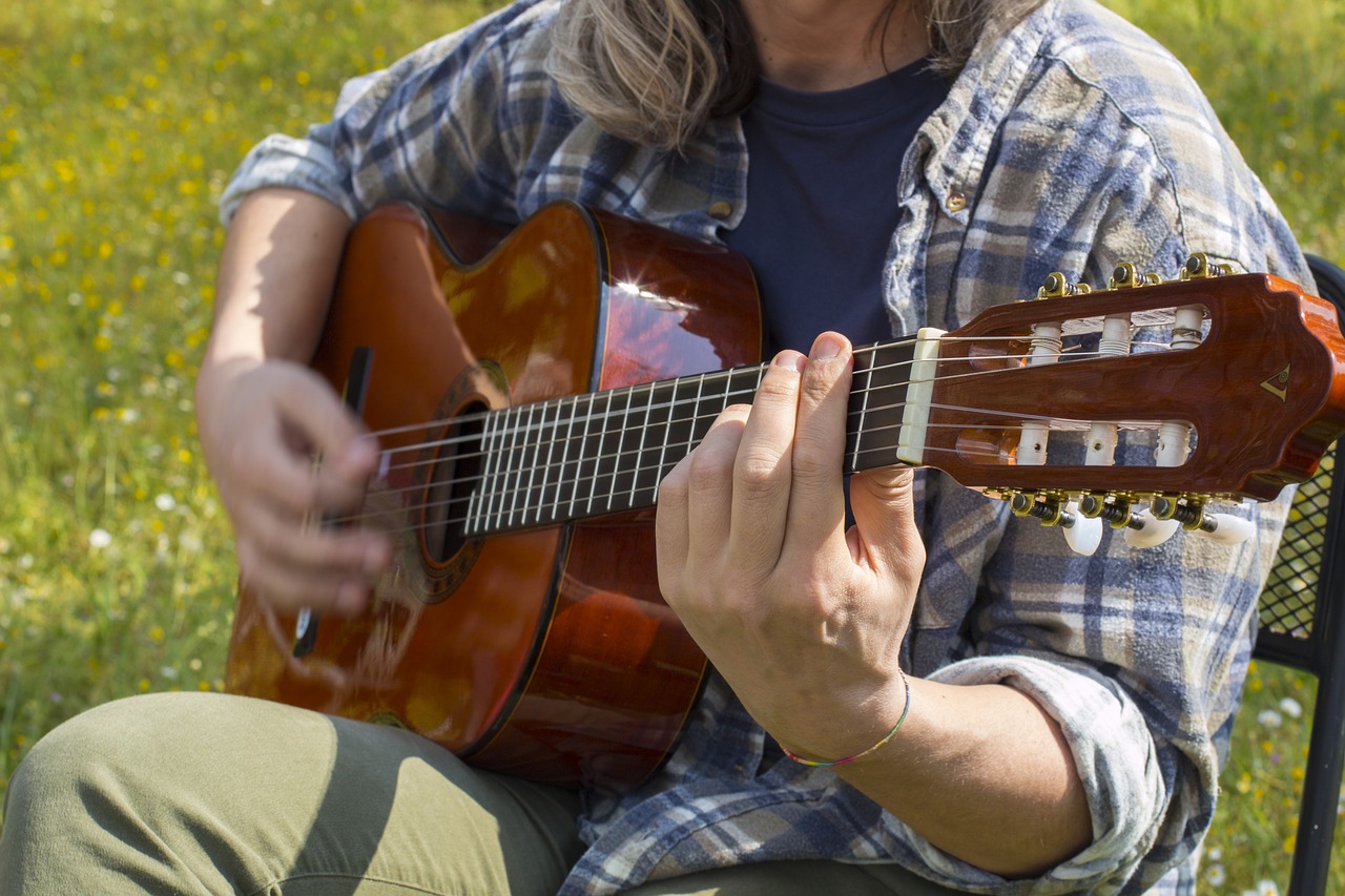 guitar music guitarist free photo