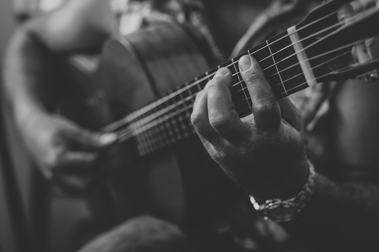 guitar musician music free photo