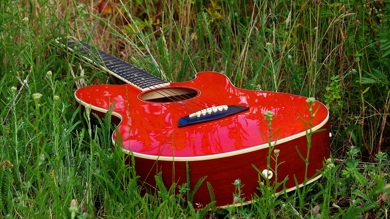 guitar meadow musical instrument free photo