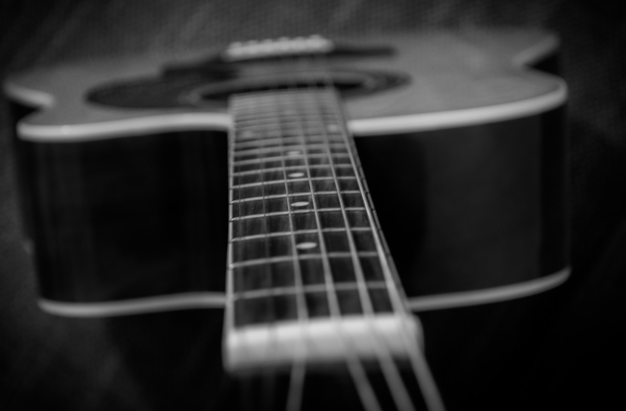 guitar black white free photo