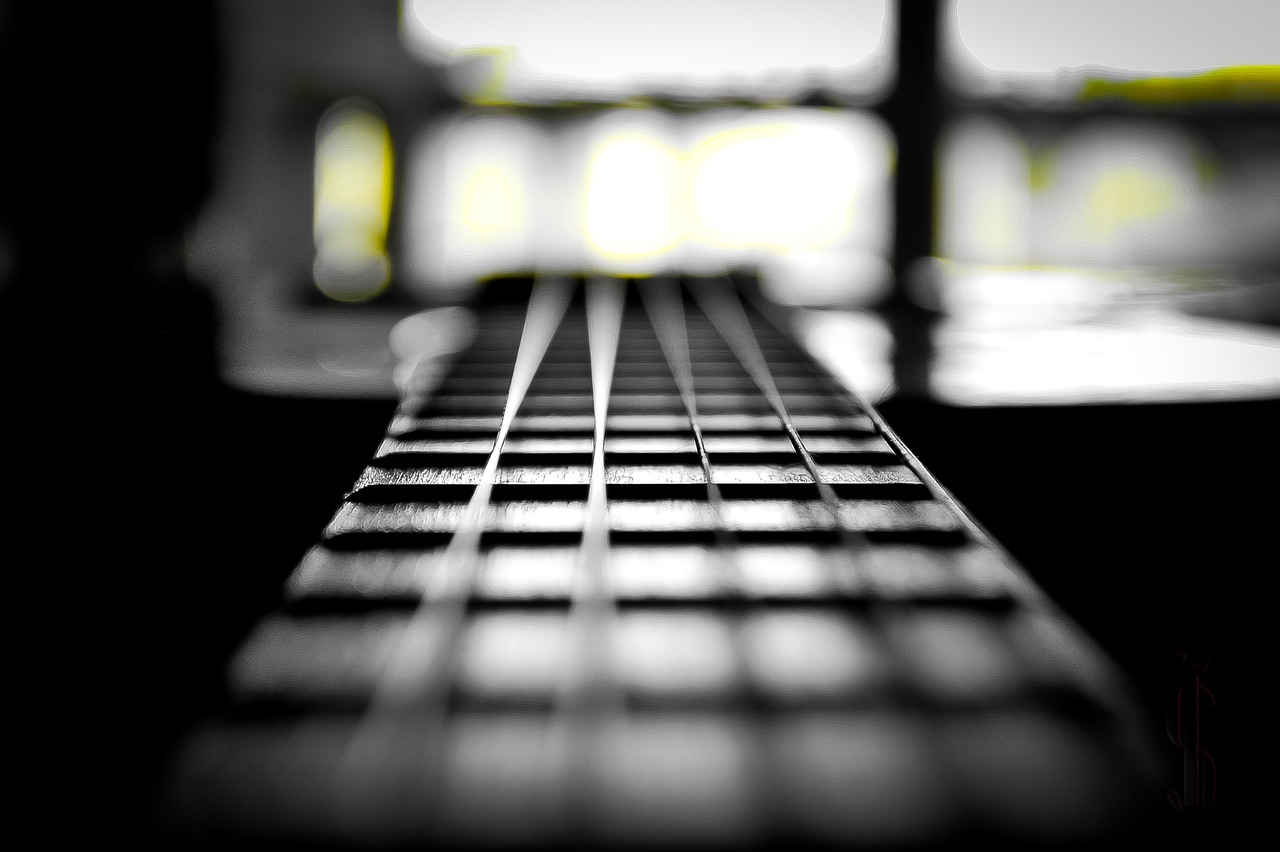 guitar black white music free photo