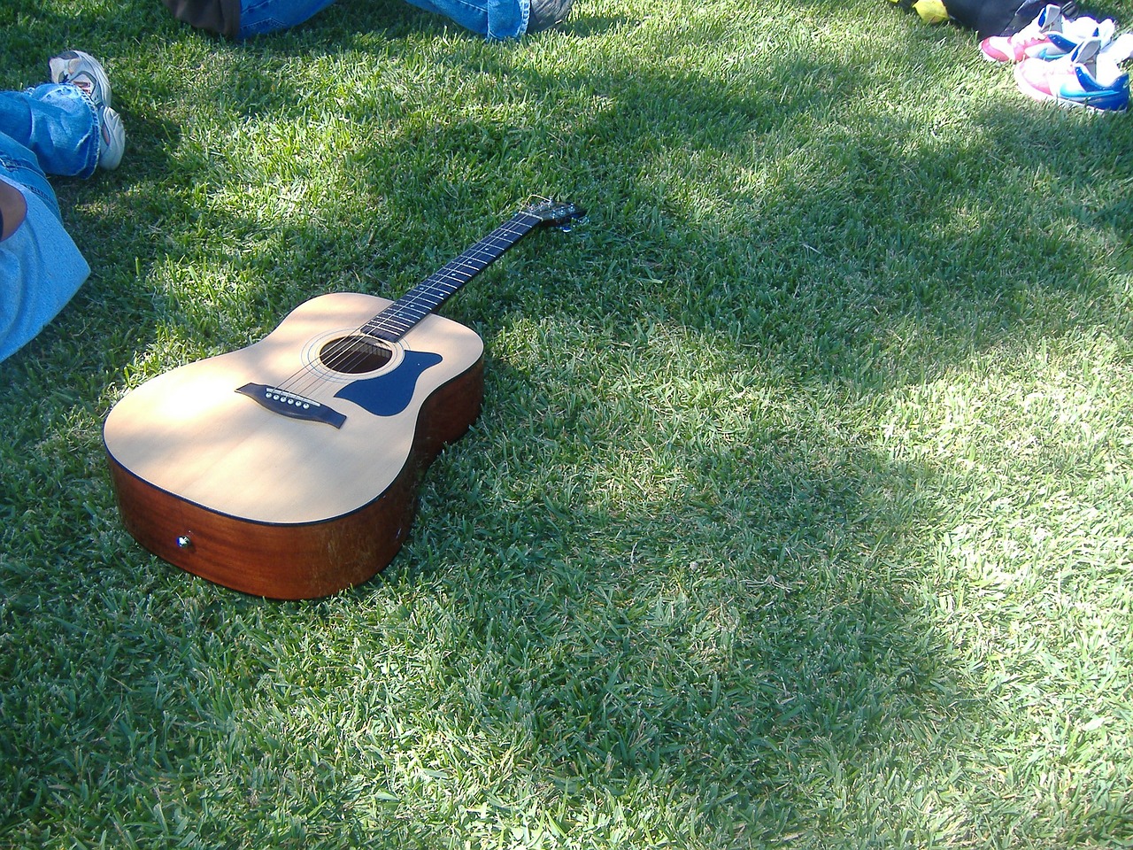 guitar grass green free photo