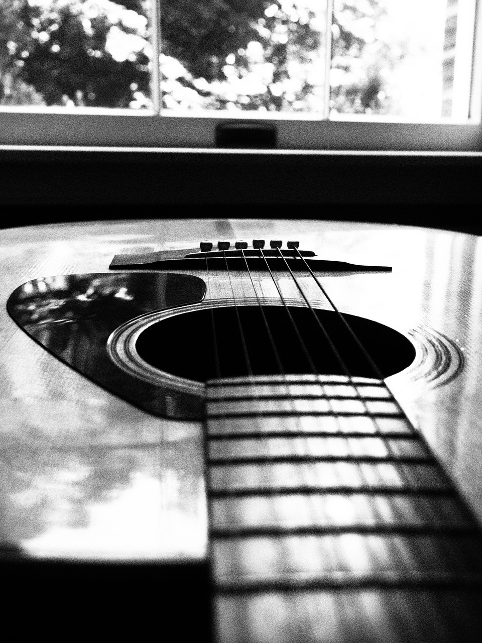 guitar acoustic black white free photo