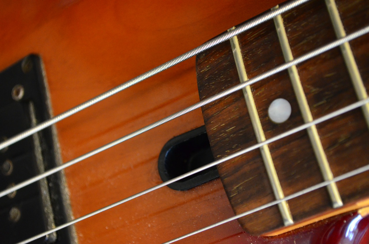 guitar bass musical instrument free photo