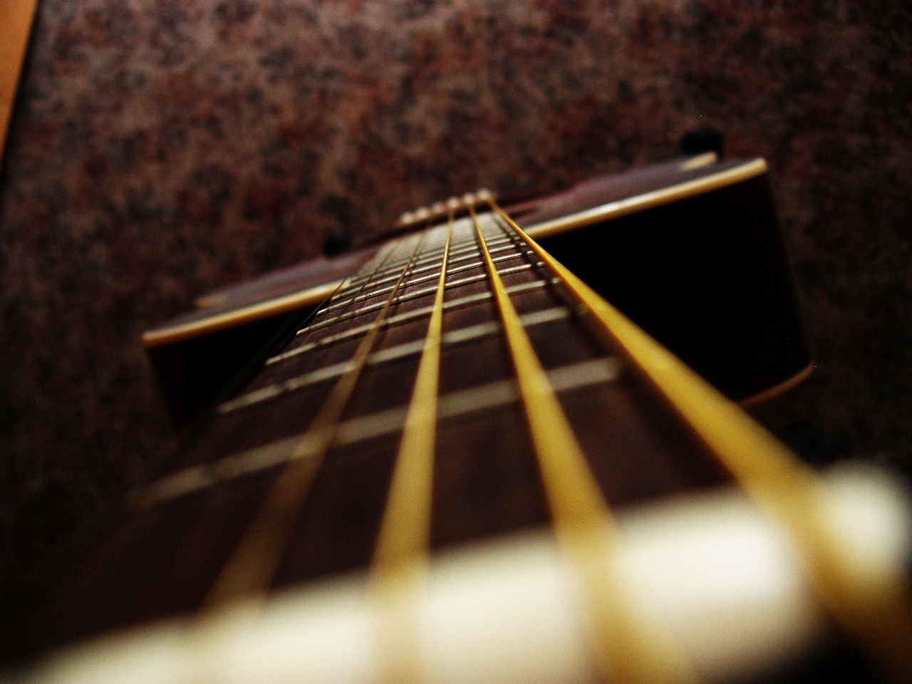 guitar strings macro free photo