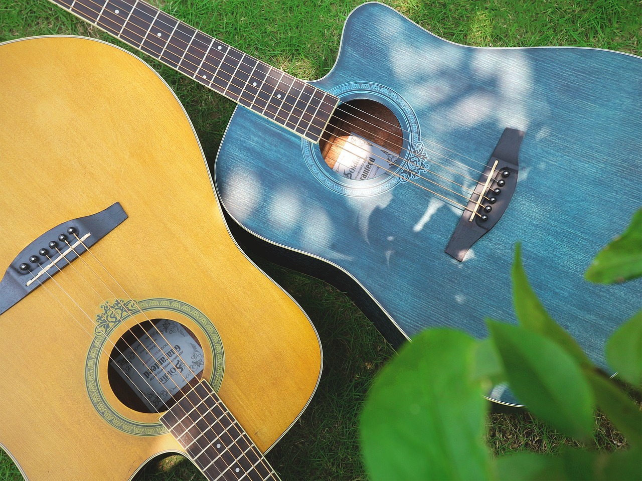 guitar grassland music free photo