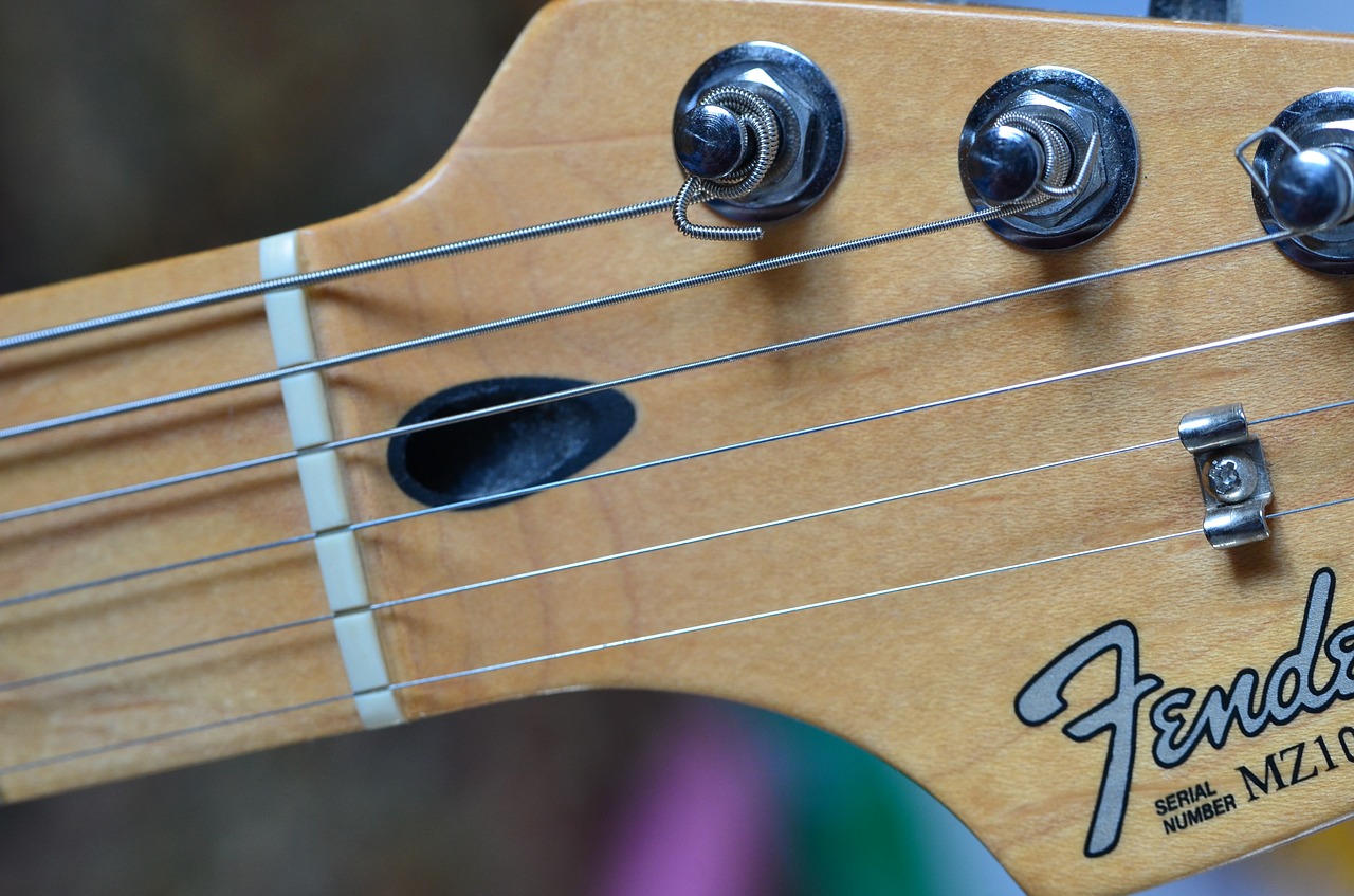 guitar  stratocaster  strings free photo