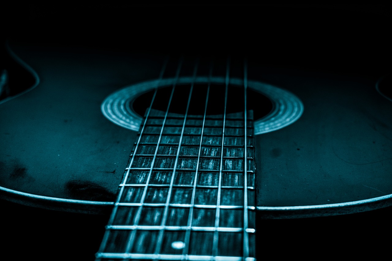 guitar  art  music free photo