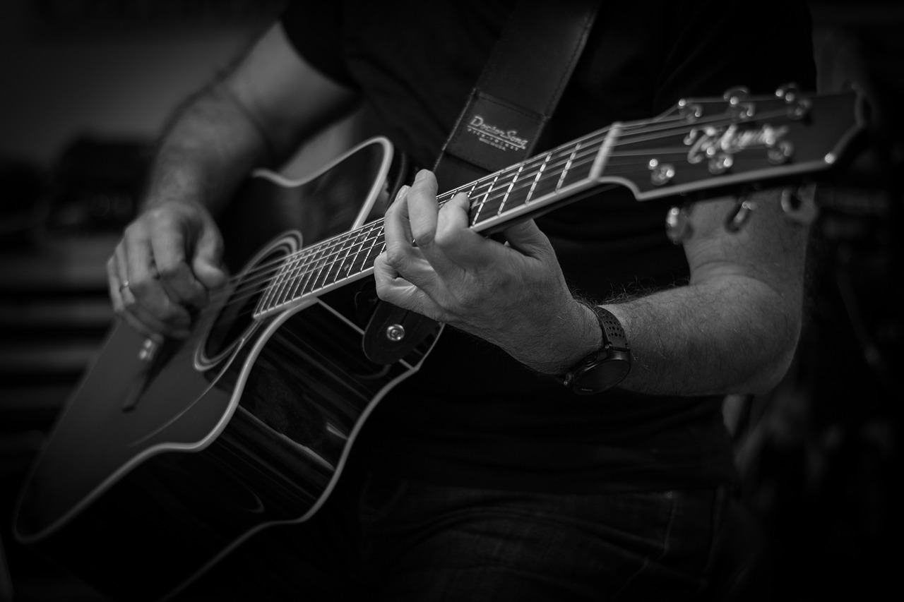 guitar  guitarist  guitar player free photo