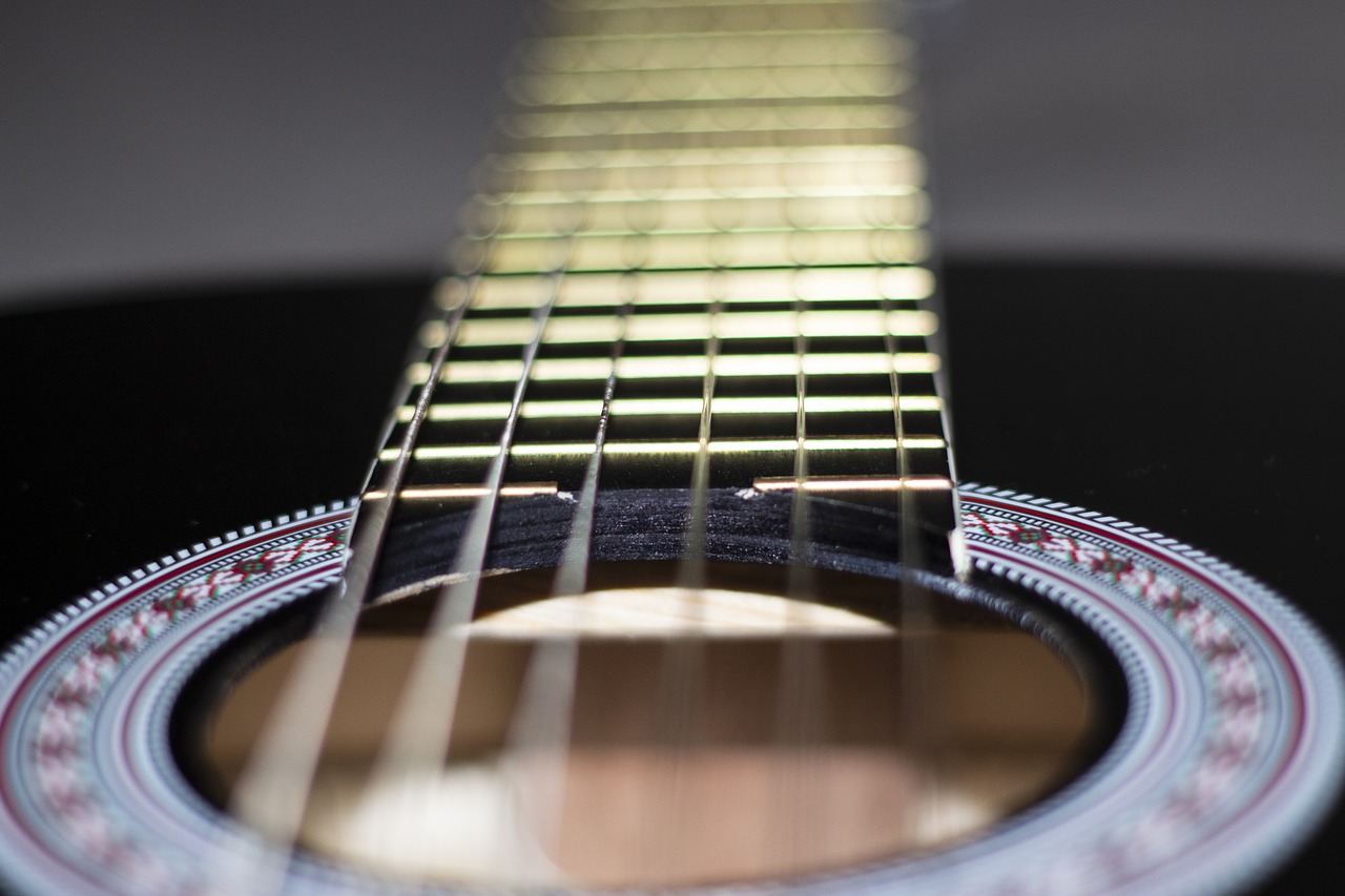 guitar  mic  music free photo