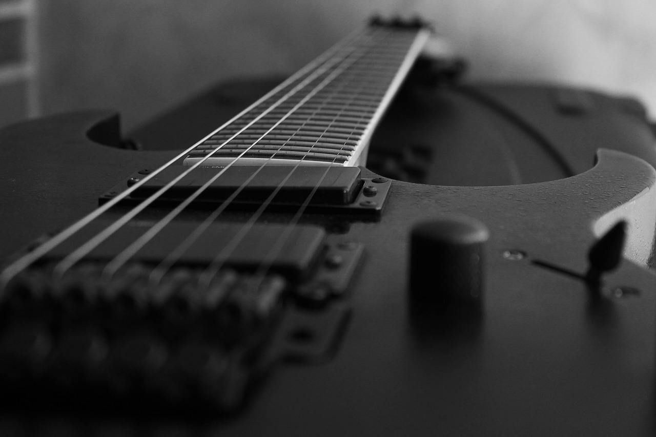 guitar  music  guitarist free photo