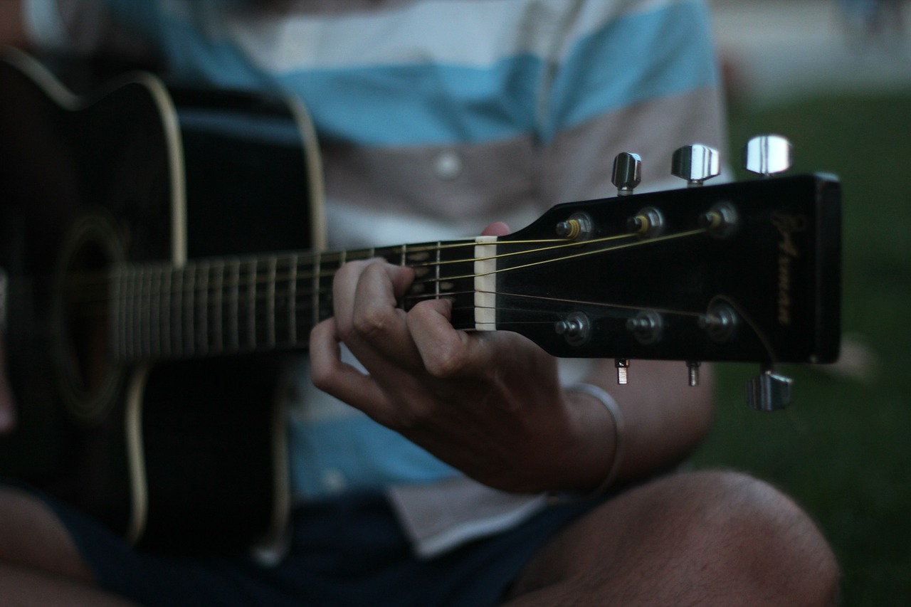 guitar hand concert free photo