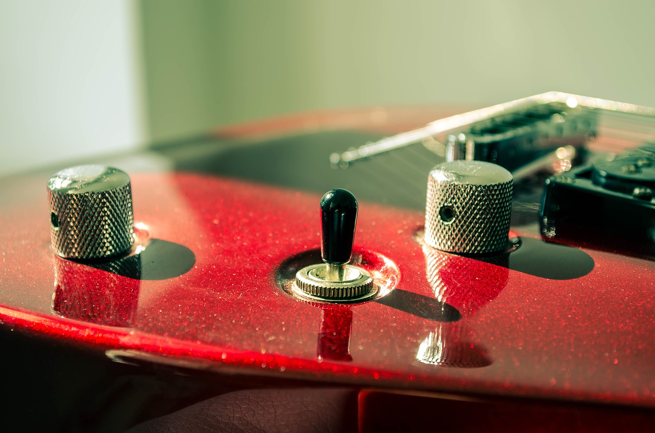 guitar  switches  spinner free photo