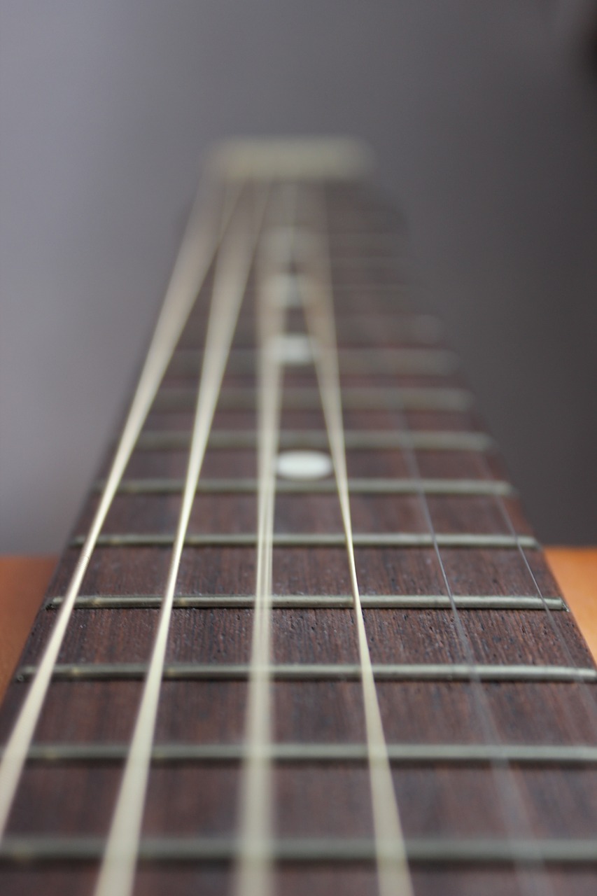 guitar blur strings free photo