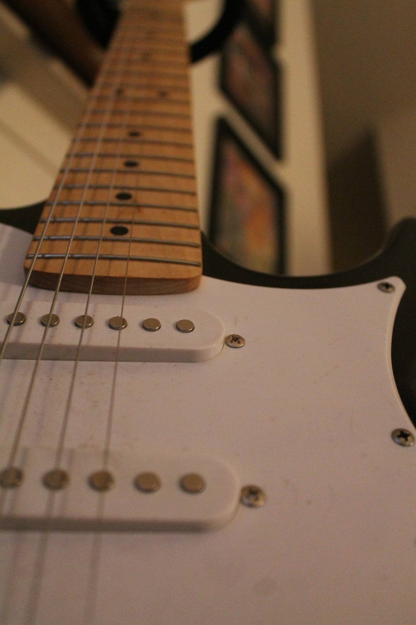 guitar macro musical free photo