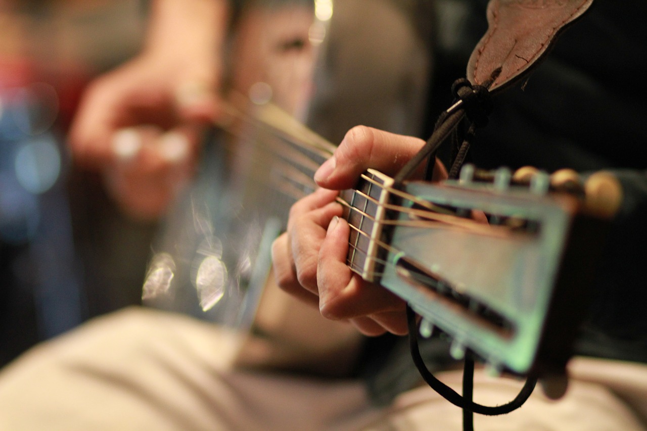 guitar concert musician free photo