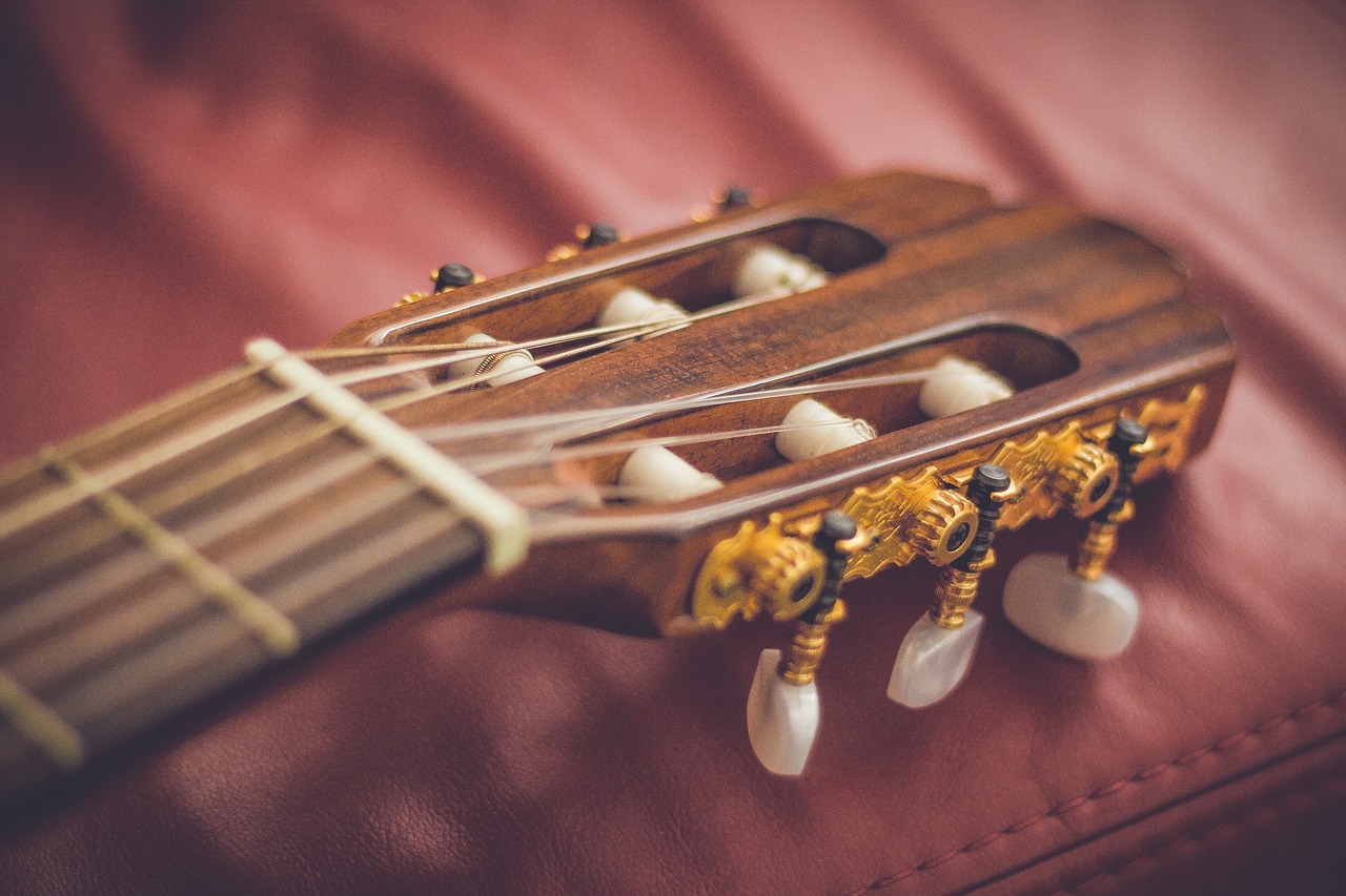 guitar strings musical free photo