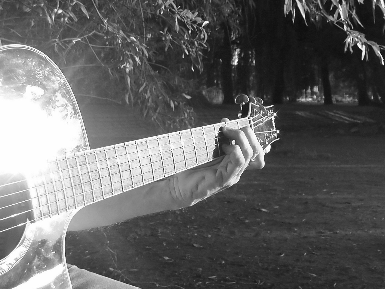 guitar play guitar pluck free photo