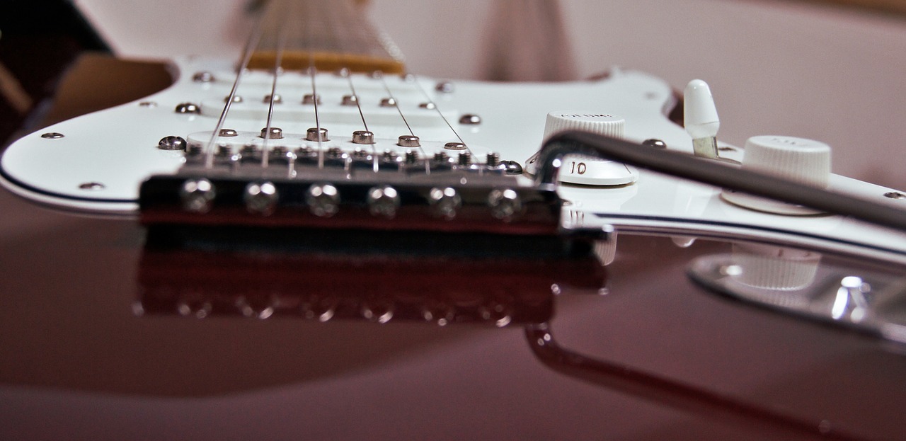 guitar strings losses free photo