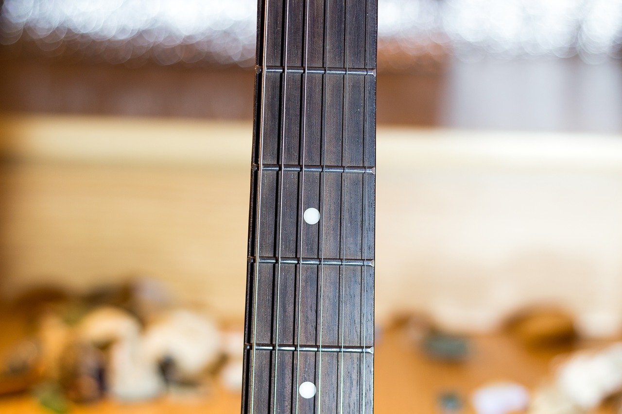 guitar neck vulture strings free photo