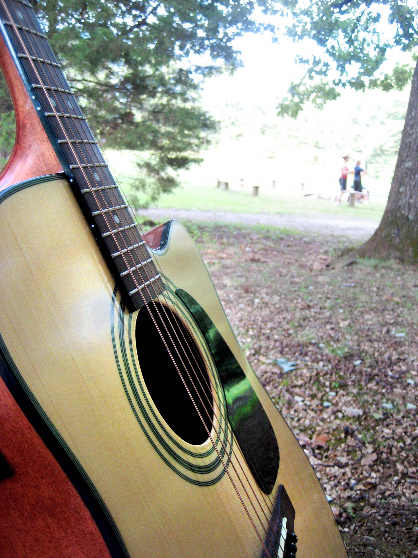 guitar instrument string free photo