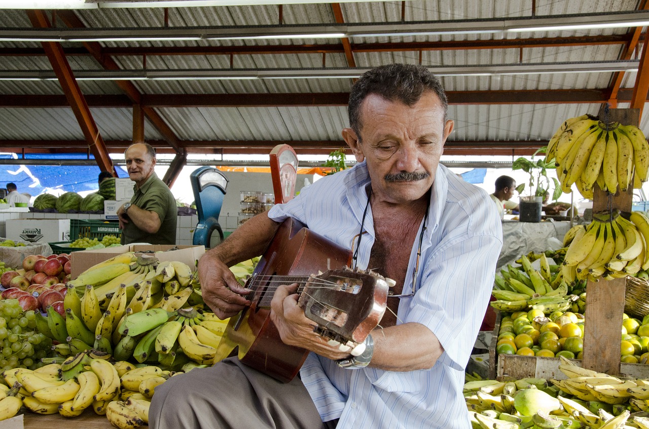 guitar player marketer seller free photo