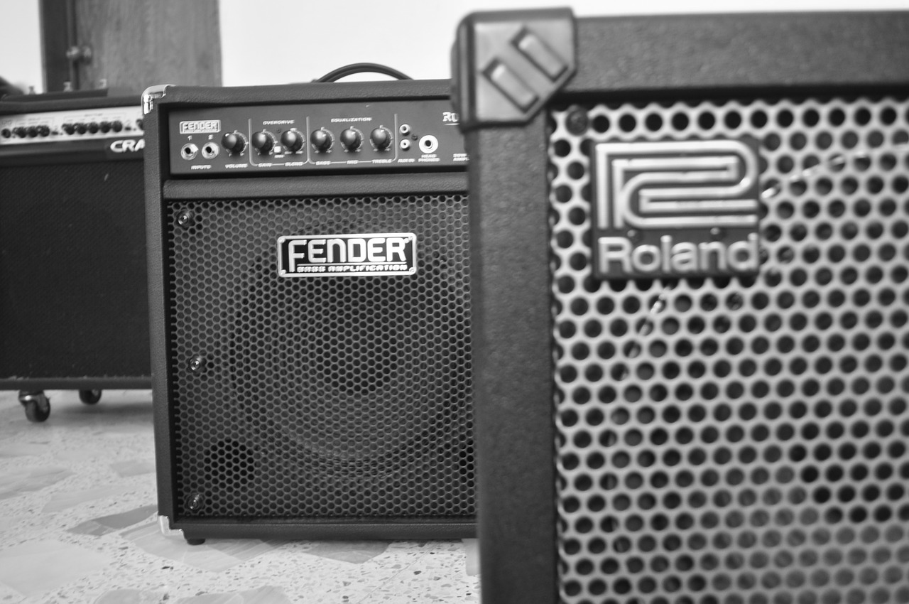 guitarist amplifiers musician free photo