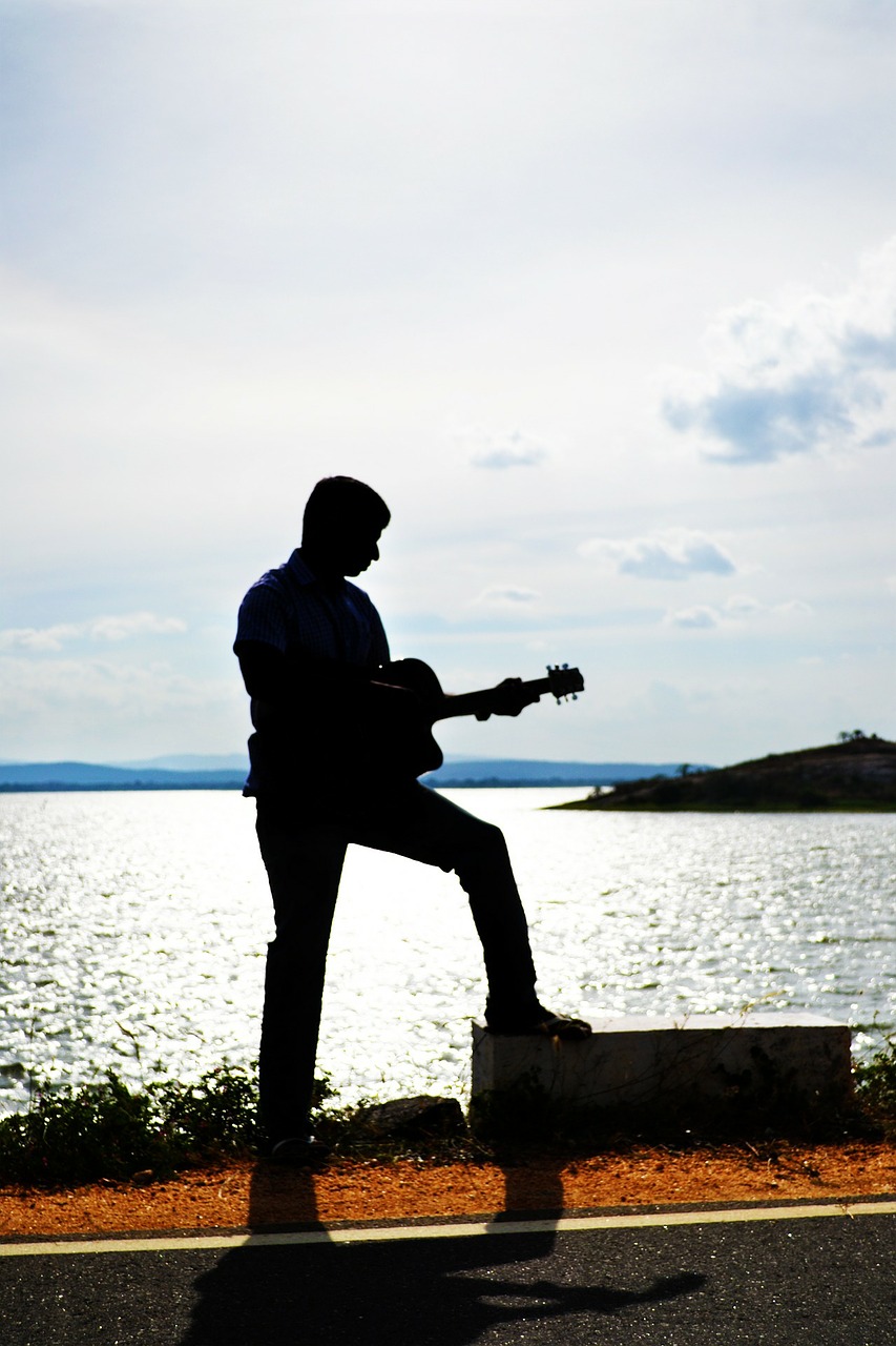 guitarist silhouette sunset free photo