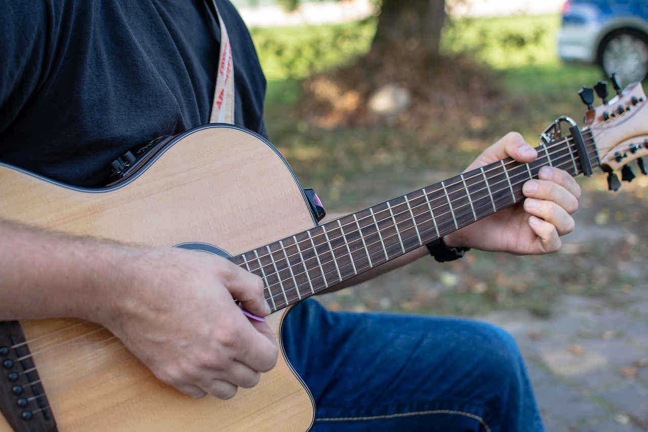 guitarist  musician  instrument free photo