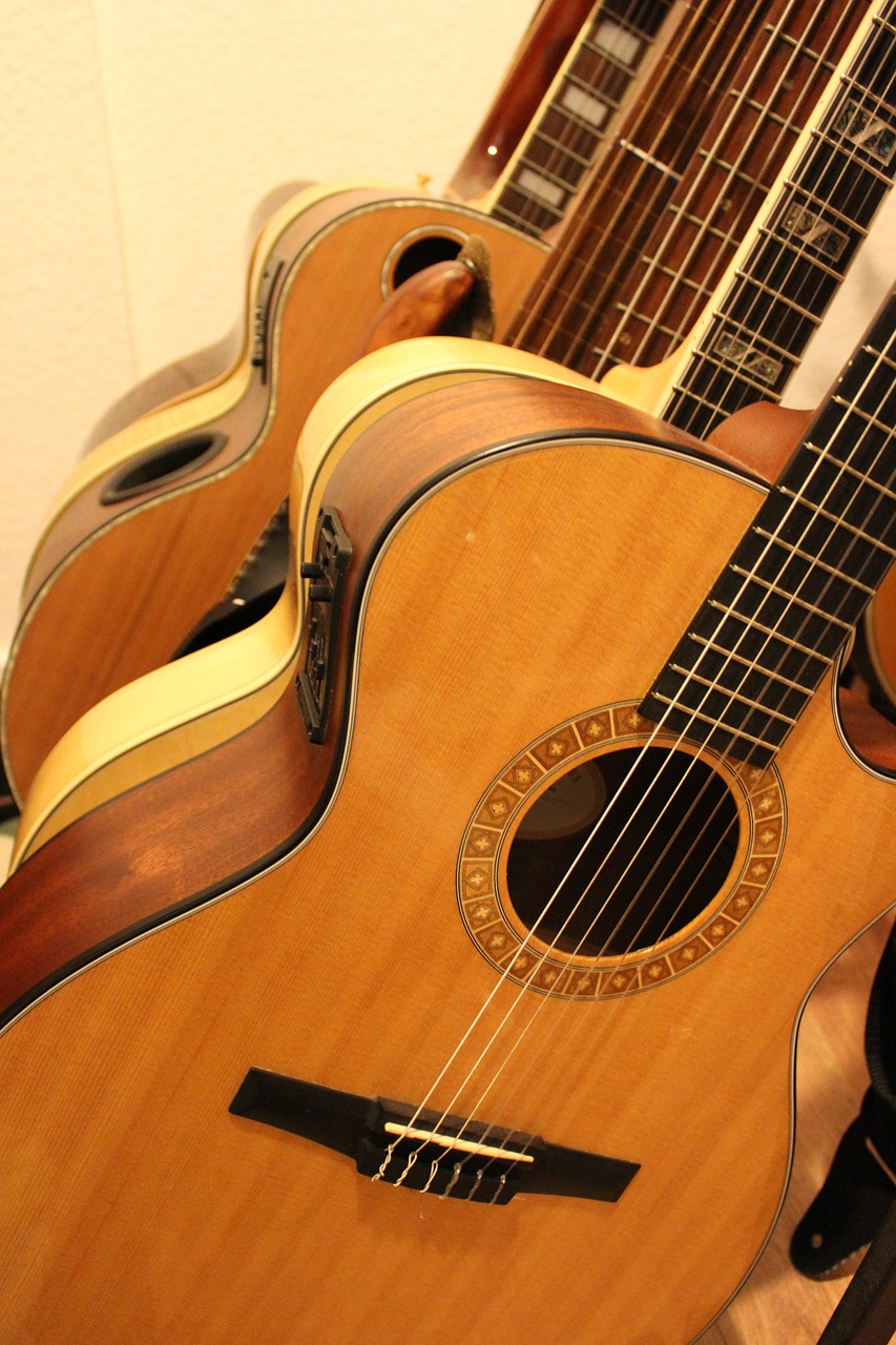 guitars guitar collection instrument free photo