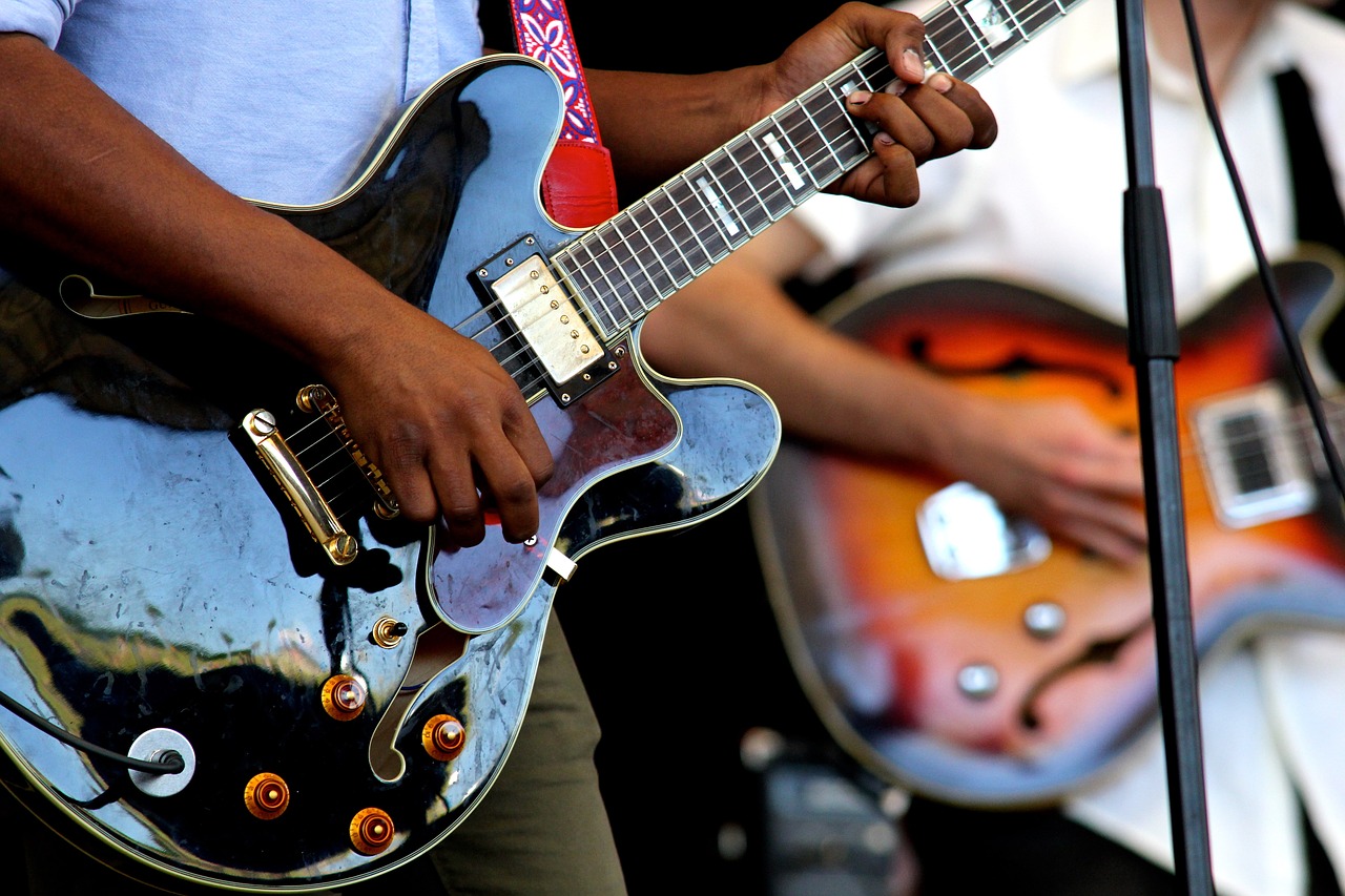 guitars instruments perform free photo