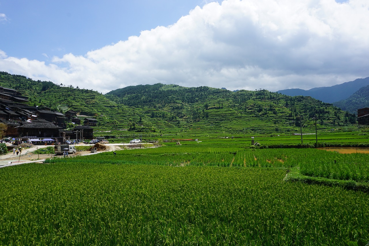 guizhou xijiang the scenery free photo