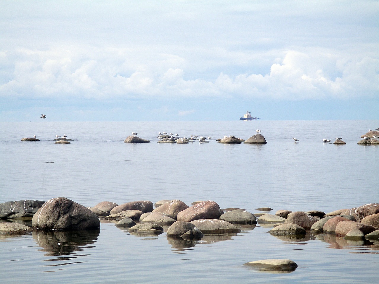 gulf of finland sea stones free photo