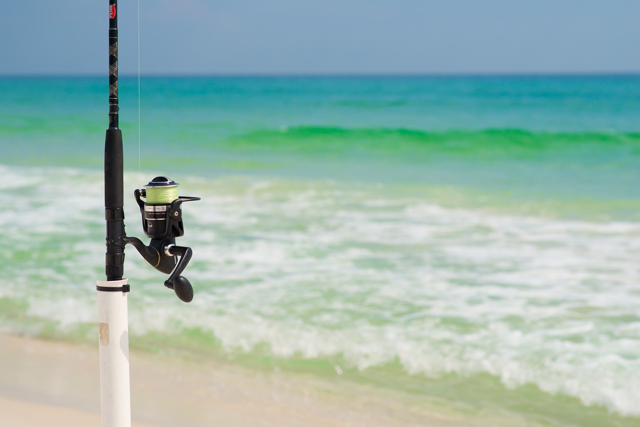 gulf of mexico fishing fishing pole free photo
