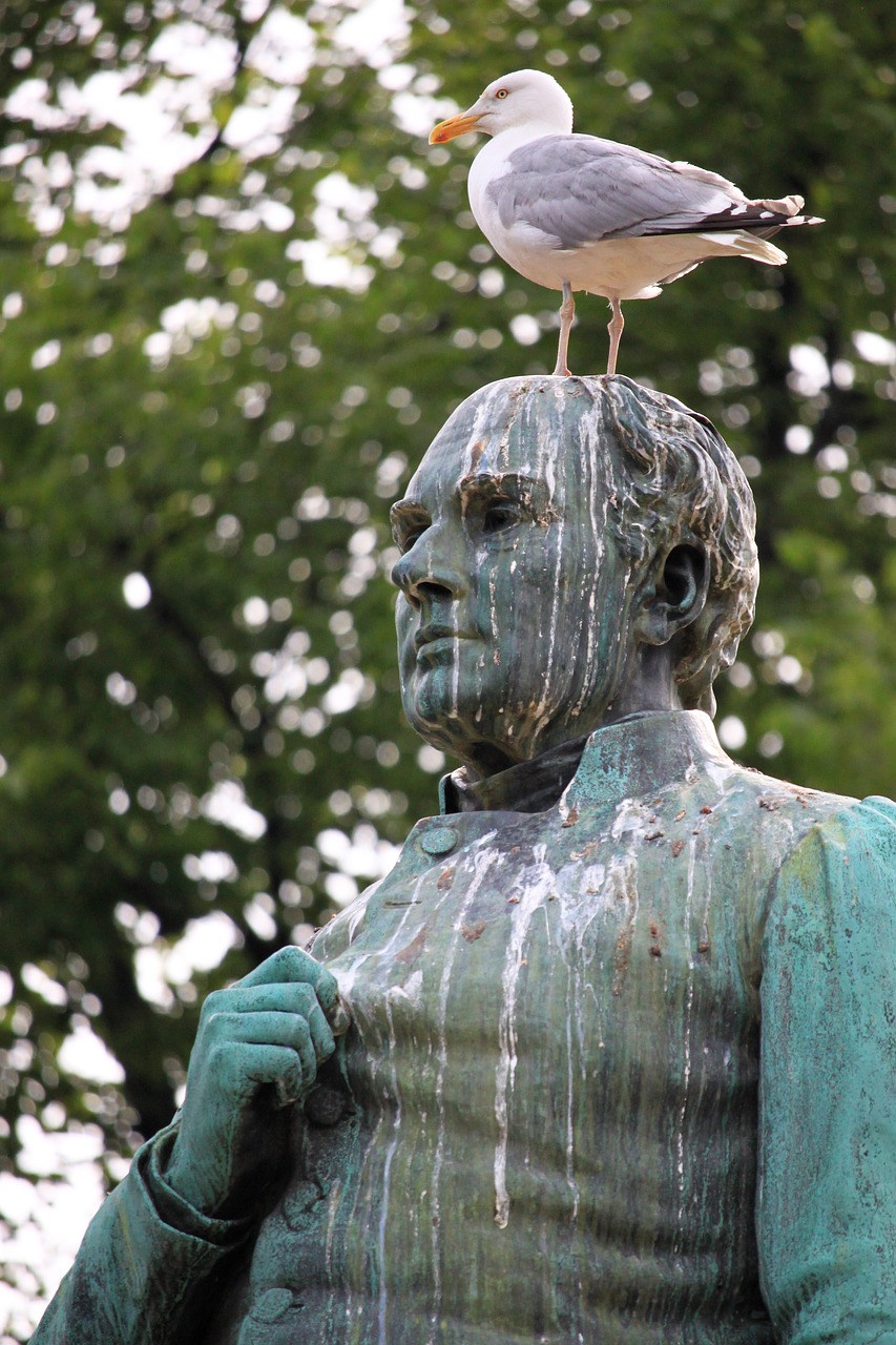 gull statue bird droppings free photo