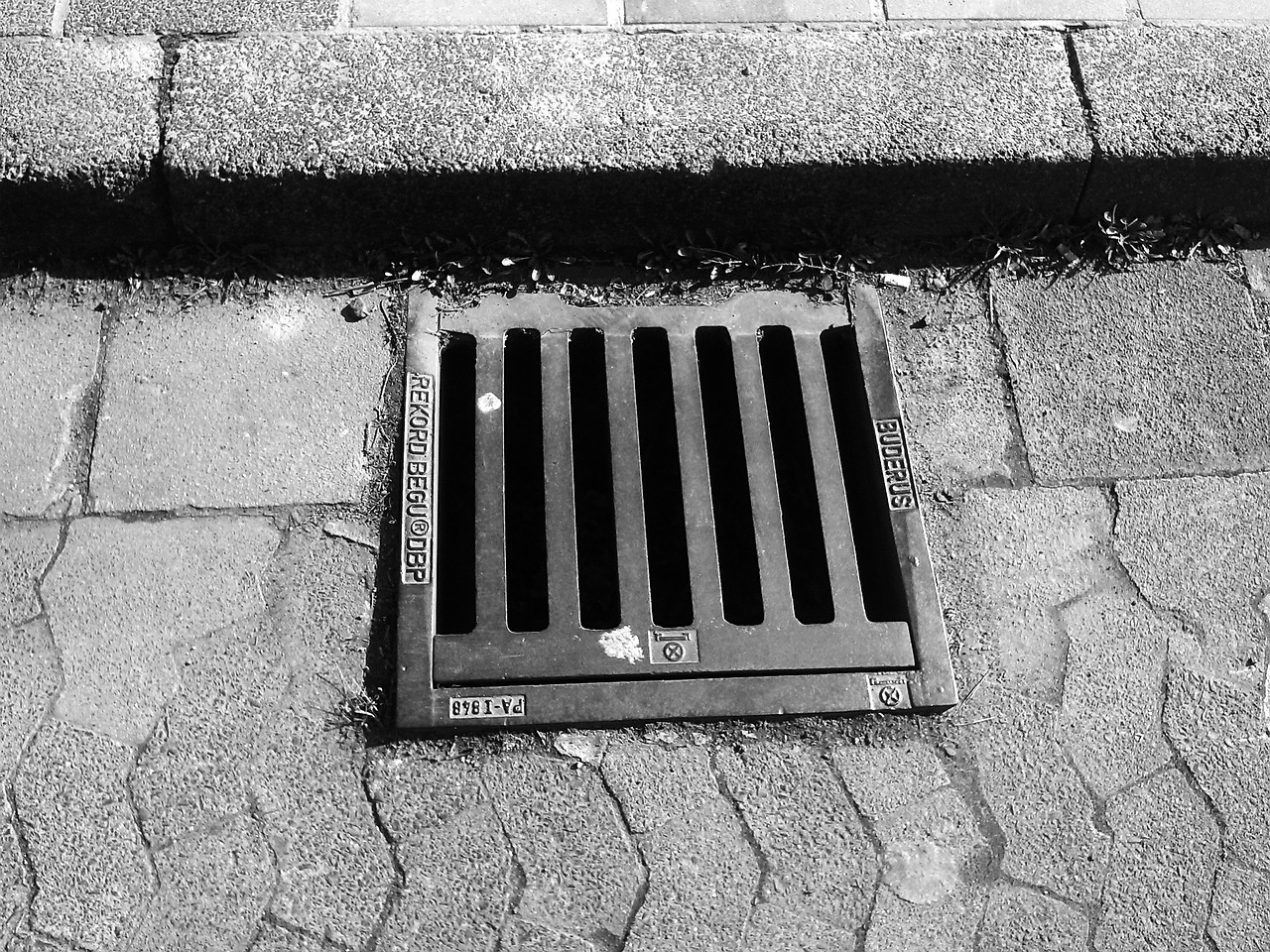 gullideckel manhole cover lid free photo