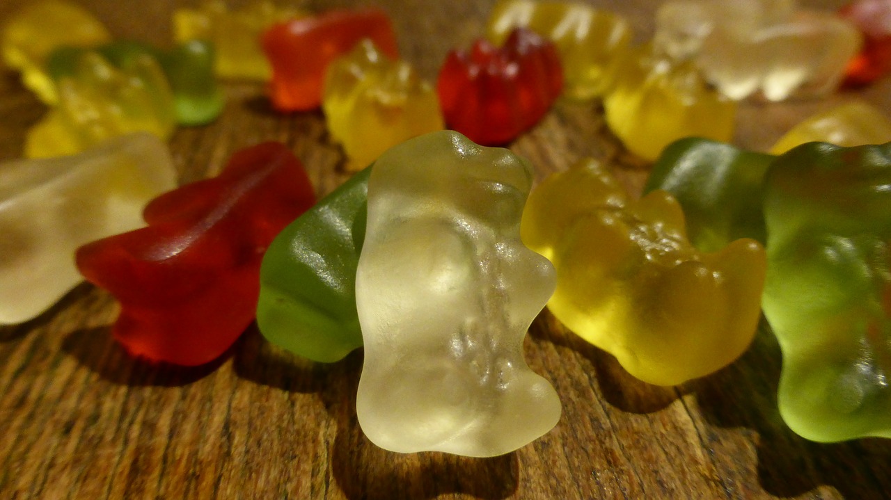 gummi bears fruit jelly candy free photo