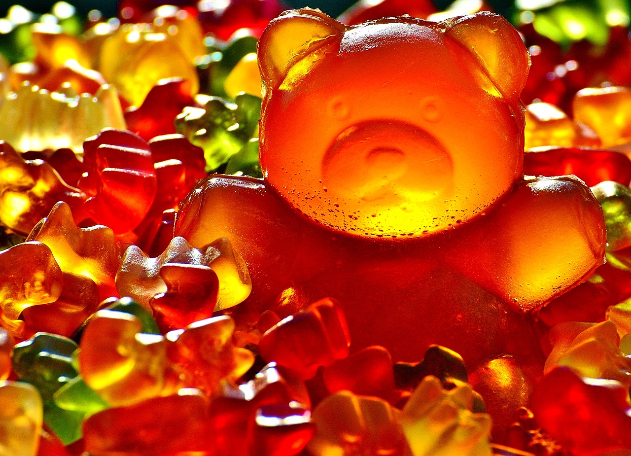 gummibärchen giant rubber bear sugar free photo