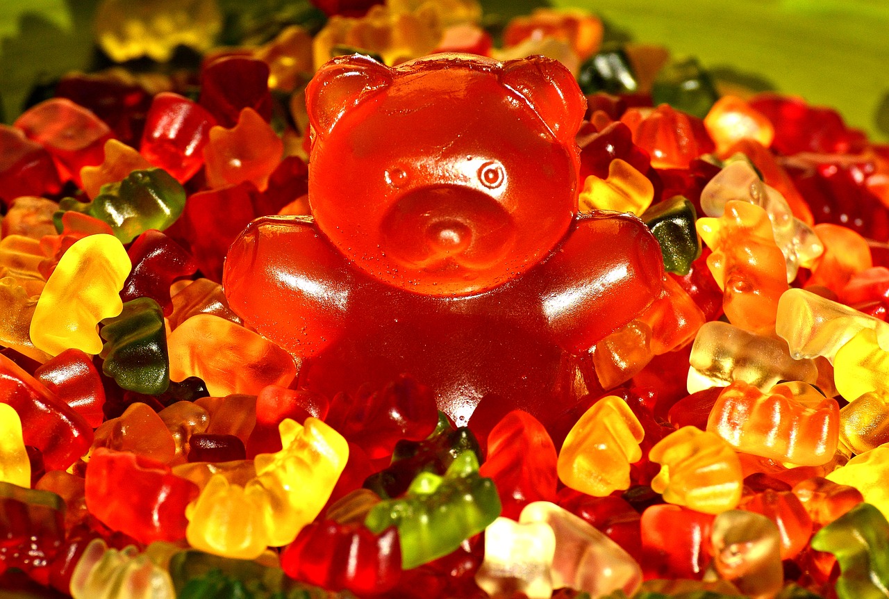 gummibärchen giant rubber bear sugar free photo