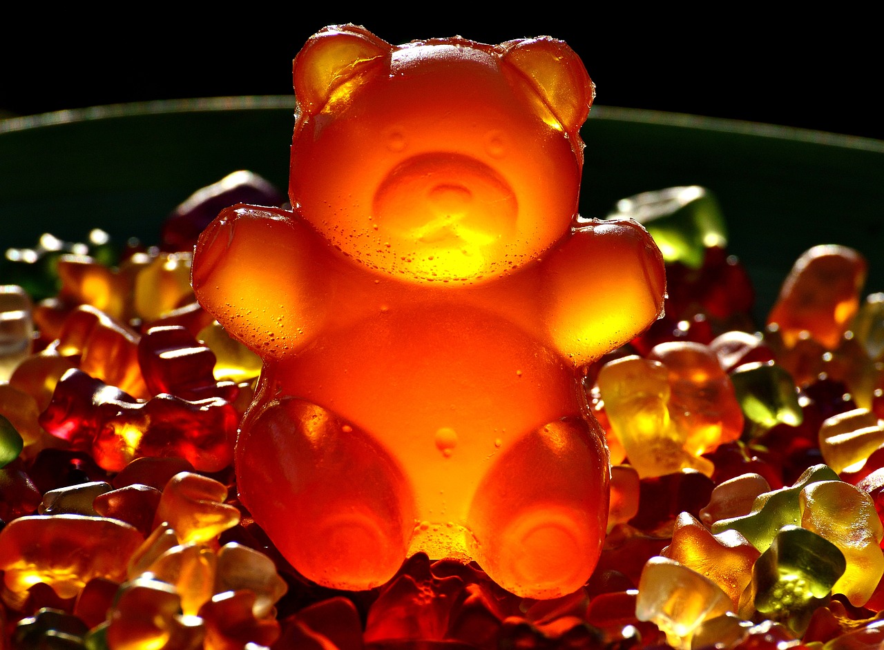 gummibärchen giant rubber bear sugar free photo